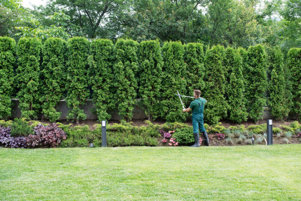 Landscape Design and Installation in Fort Lee, VA