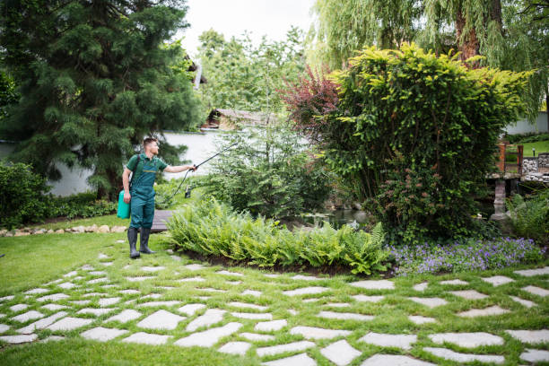 Best Grass Overseeding  in Fort Lee, VA